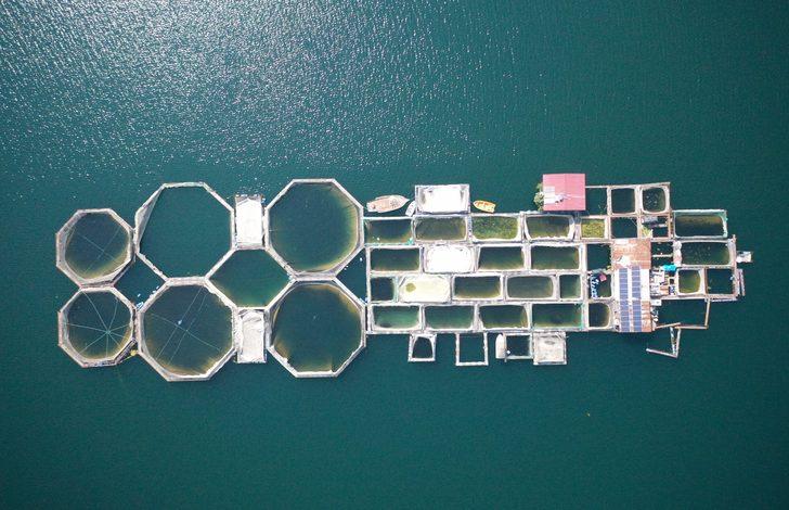 Denize kıyısı olmayan Kahramanmaraş'ta balık festivali düzenlenecek G2