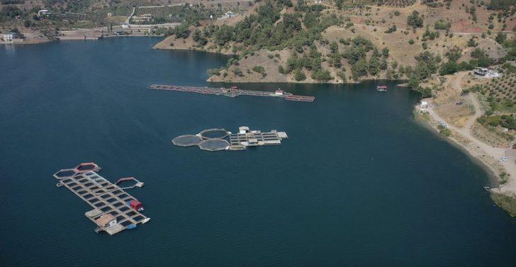 Denize kıyısı olmayan Kahramanmaraş'ta balık festivali düzenlenecek G3