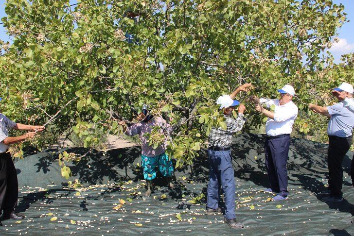 Kazançlarını 10’a katladılar! Kilosu 140 TL... Bölgeye 150 milyon TL’lik ek kazanç sağladı G5