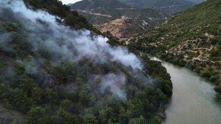 Amasya'da ormanlık alanda çıkan yangın söndürüldü