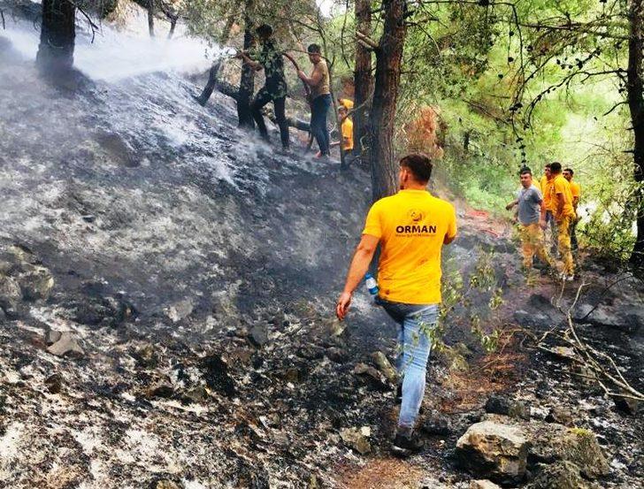 Amasya'da ormanlık alanda çıkan yangın söndürüldü G2