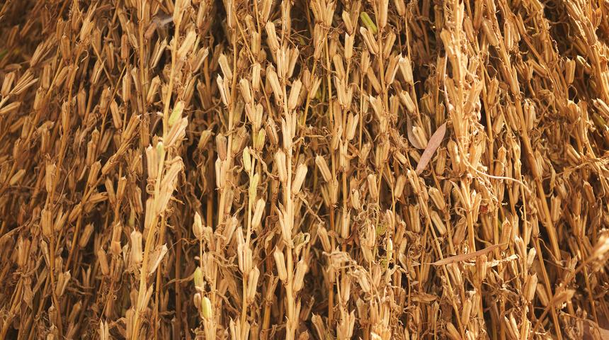 Erken boşalma sorununu anında bitirir