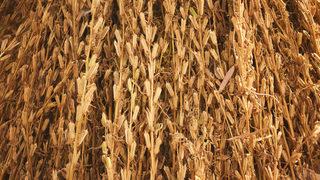 Erken boşalma sorununu anında bitirir