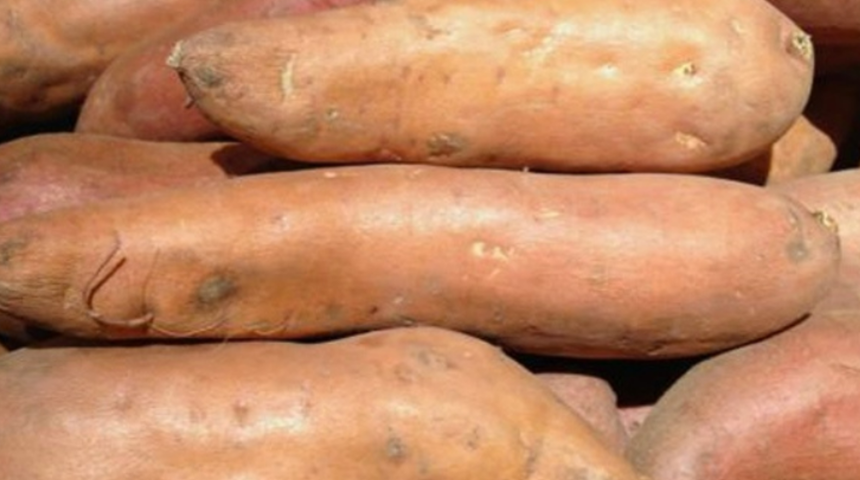 Kimse faydalarını bilmiyor! Adeta şifa dağıtıyor... Yam sebzesi düzenli tüketildiğinde kansere karşı koruma sağlıyor