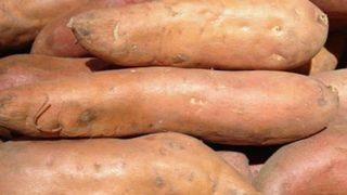 Kimse faydalarını bilmiyor! Adeta şifa dağıtıyor... Yam sebzesi düzenli tüketildiğinde kansere karşı koruma sağlıyor