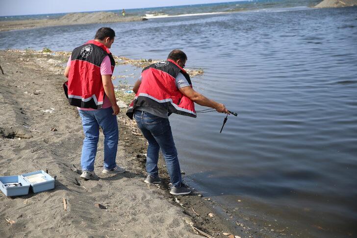 Hatay'da balık ölümleri görülmesi üzerine inceleme başlatıldı G1