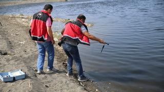 Hatay'da balık ölümleri görülmesi üzerine inceleme başlatıldı