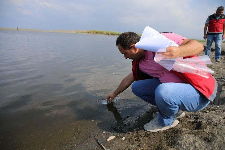 Hatay'da balık ölümleri görülmesi üzerine inceleme başlatıldı G5