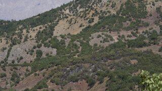 Tunceli'de ormanlık alanda çıkan yangın söndürüldü