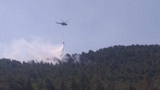 Antalya'da ormanlık alanda yangın çıktı