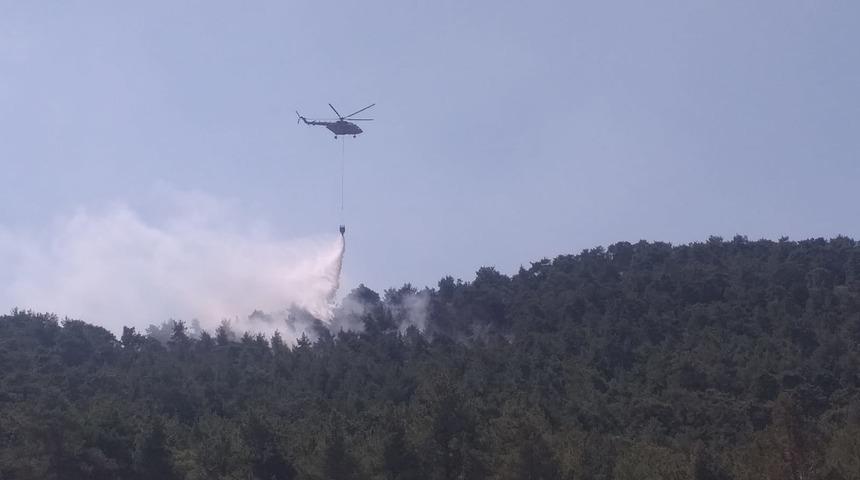 Antalya'da ormanlık alanda yangın çıktı