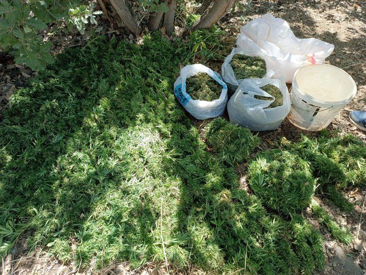 Elazığ'da 20 kilo 200 gram esrar ele geçirildi G3
