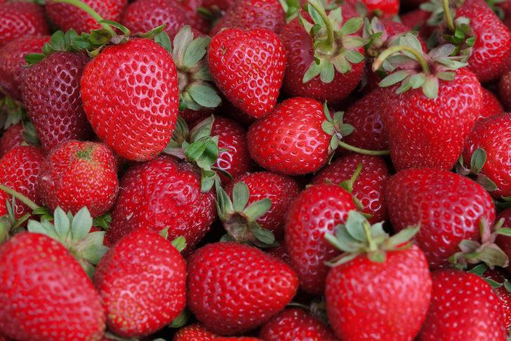 Sakarya Büyükşehir Belediyesi, 3 ayda 20 ton çilek üretti G2