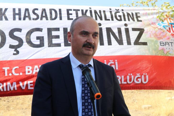 Batman'da fıstık hasadı başladı G1