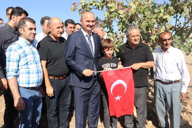 Batman'da fıstık hasadı başladı G4