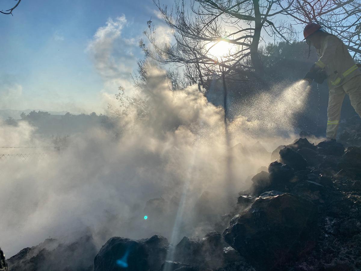 G&Uuml;NCELLEME - İzmir'de &ccedil;ıkan orman yangın kontrol altına alındı
