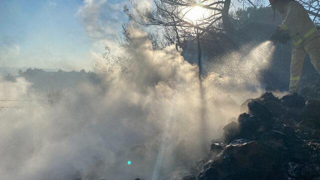 GÜNCELLEME - İzmir'de çıkan orman yangın kontrol altına alındı