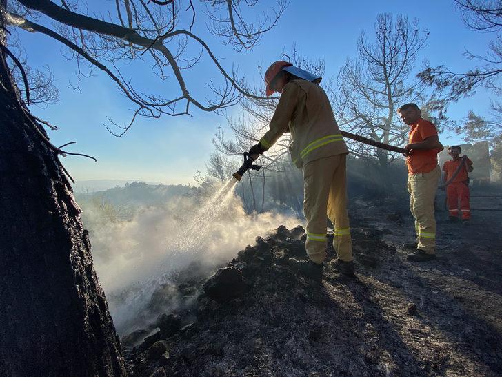 GÜNCELLEME - İzmir'de çıkan orman yangın kontrol altına alındı G2
