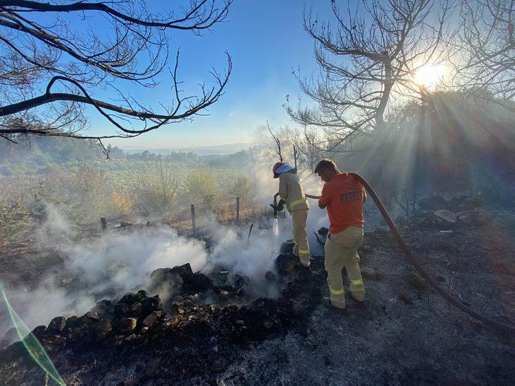 GÜNCELLEME - İzmir'de çıkan orman yangın kontrol altına alındı G3