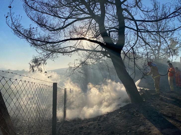 GÜNCELLEME - İzmir'de çıkan orman yangın kontrol altına alındı G4