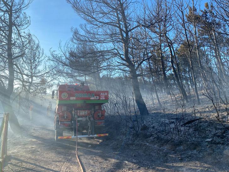 GÜNCELLEME - İzmir'de çıkan orman yangın kontrol altına alındı G5