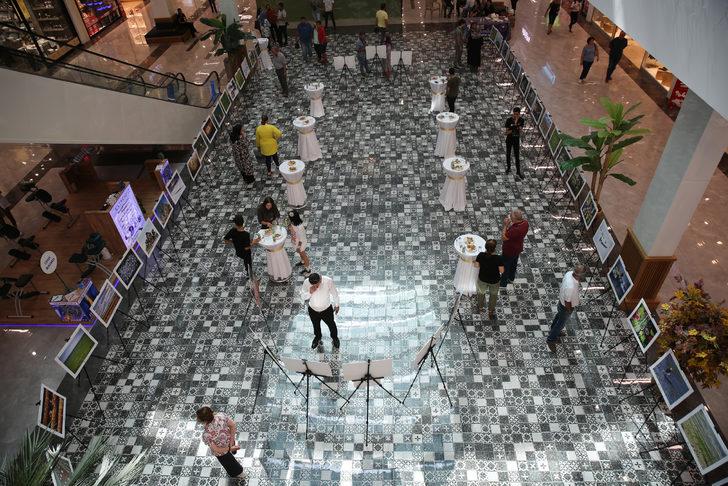 Elazığ'da "Tarım Orman ve İnsan" fotoğraf sergisi açıldı G1