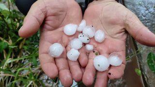 Kars'ta etkili olan dolu meyve bahçelerine zarar verdi
