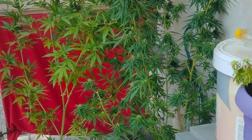 İzmir'de uyuşturucu operasyonlarında 5 şüpheli yakalandı