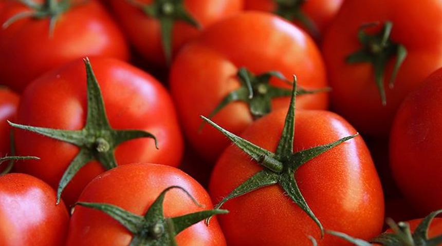SON DAKİKA | Resmi Gazete'de yayımlandı! Domates ihracatı izne bağlandı