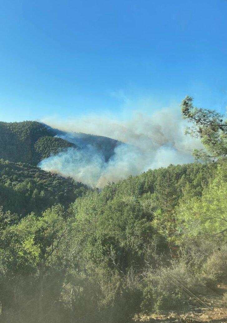 GÜNCELLEME - Mersin'de çıkan orman yangınına müdahale ediliyor G2