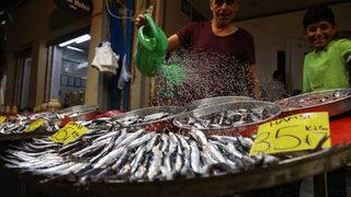 Av sezonunun açılmasıyla balıkçı tezgahlarında çeşit arttı, fiyat düştü