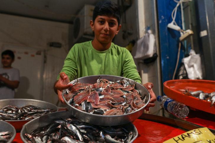 Av sezonunun açılmasıyla balıkçı tezgahlarında çeşit arttı, fiyat düştü G3