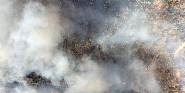 GÜNCELLEME 2 - Mersin'de çıkan orman yangınına müdahale ediliyor G4