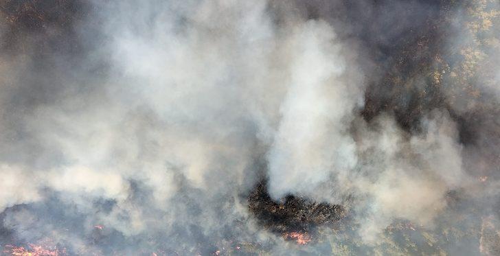 GÜNCELLEME 2 - Mersin'de çıkan orman yangınına müdahale ediliyor G5