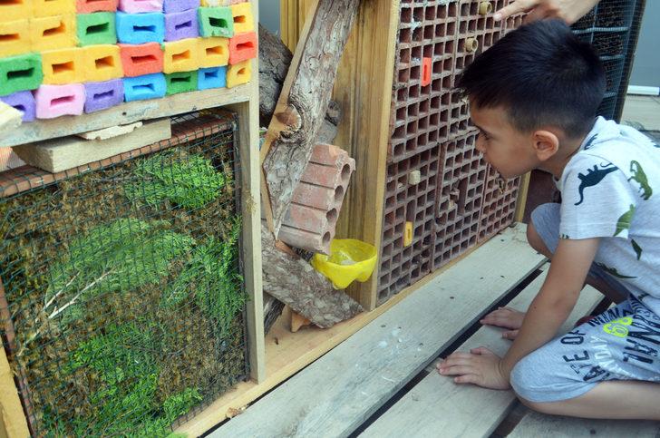 Öğrenciler canlıların yaşamını "Böcek oteli"nde gözlemliyor G3