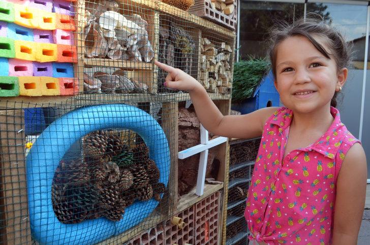 Öğrenciler canlıların yaşamını "Böcek oteli"nde gözlemliyor G4