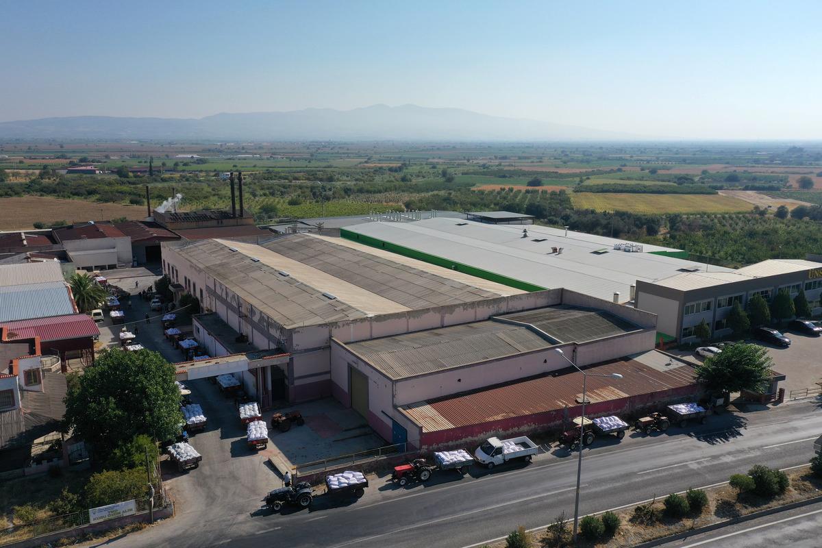 TMO, Manisa'da &ccedil;ekirdeksiz kuru &uuml;z&uuml;m alımına başladı