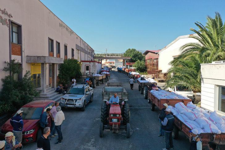 TMO, Manisa'da çekirdeksiz kuru üzüm alımına başladı G2