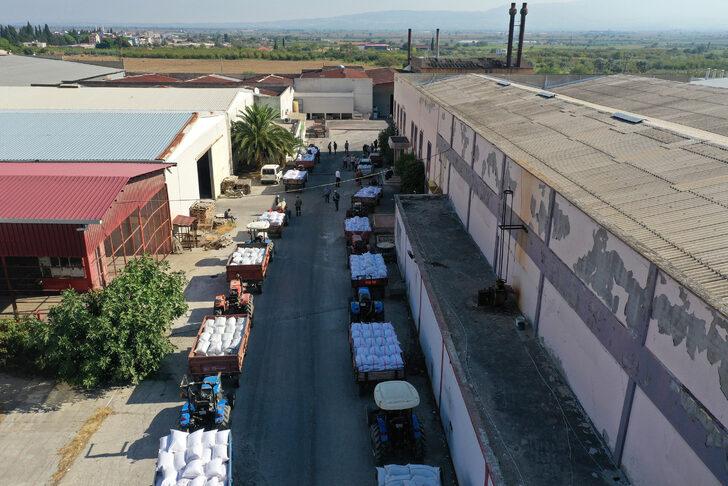 TMO, Manisa'da çekirdeksiz kuru üzüm alımına başladı G3