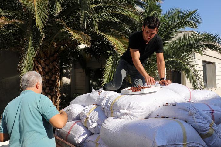 TMO, Manisa'da çekirdeksiz kuru üzüm alımına başladı G4