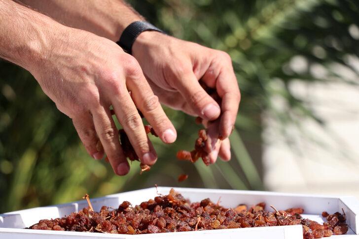 TMO, Manisa'da çekirdeksiz kuru üzüm alımına başladı G5