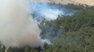 Manisa'da çıkan orman yangınına müdahale ediliyor