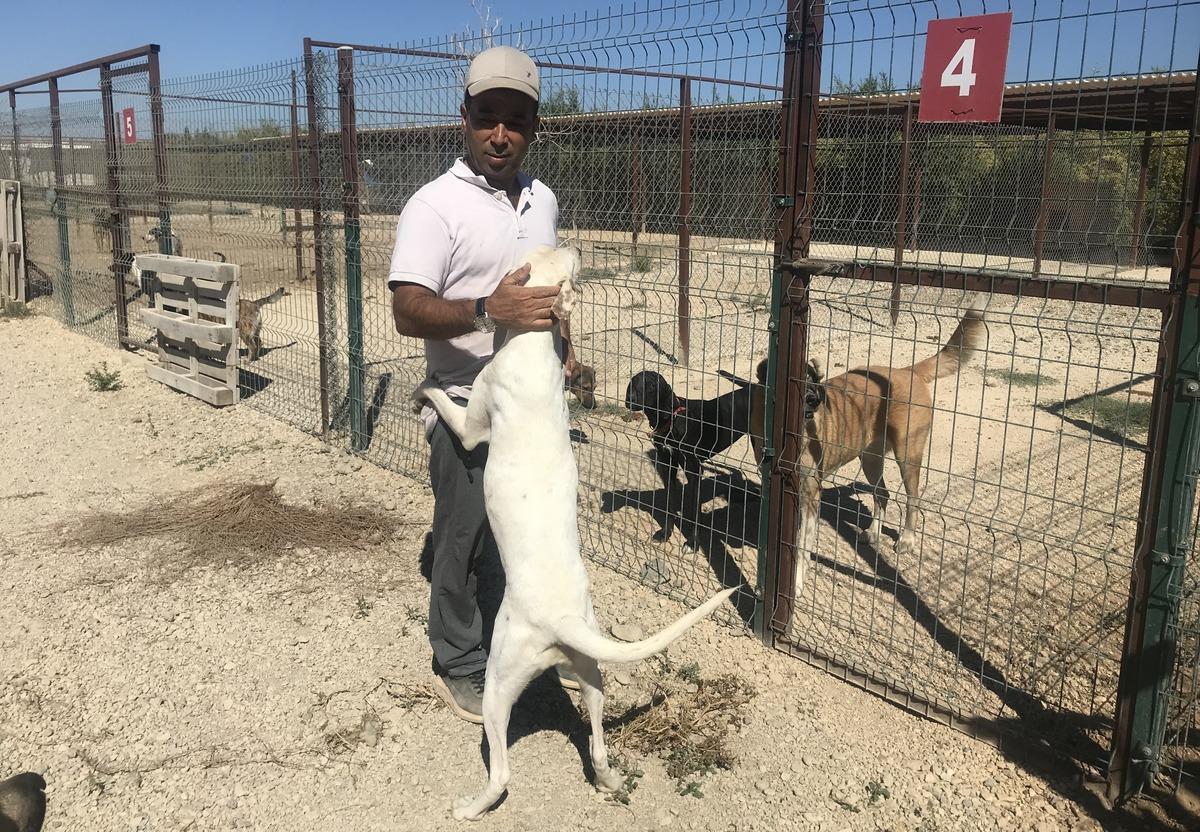 Antalya'da hayvanseverlerce oluşturulan barınak 170 k&ouml;peğe yuva oldu