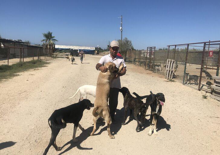 Antalya'da hayvanseverlerce oluşturulan barınak 170 köpeğe yuva oldu G2