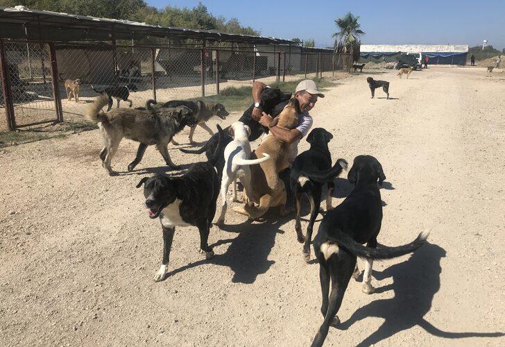 Antalya'da hayvanseverlerce oluşturulan barınak 170 köpeğe yuva oldu G3