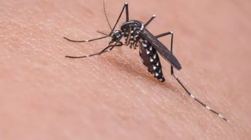 Uzmanlar uyarıyor: Batı Nil virüsünün belirtisine dikkat! Hastalık hızla yayılıyor