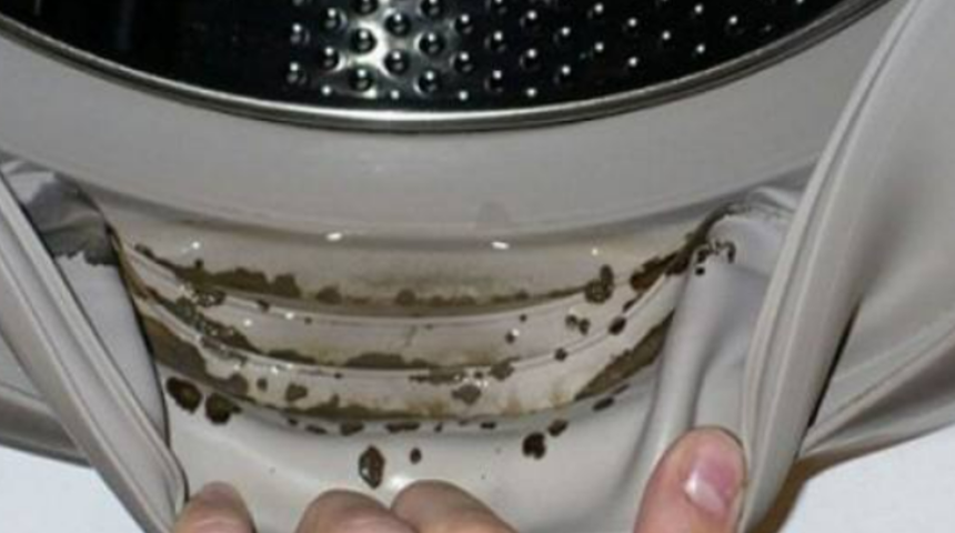 Fark etmiyorsunuz ama k&uuml;f oluşuyor! &Ccedil;amaşır makinenizi temizlemek i&ccedil;in tek ihtiyacınız olan...