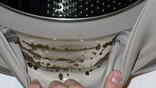 Fark etmiyorsunuz ama küf oluşuyor! Çamaşır makinenizi temizlemek için tek ihtiyacınız olan...