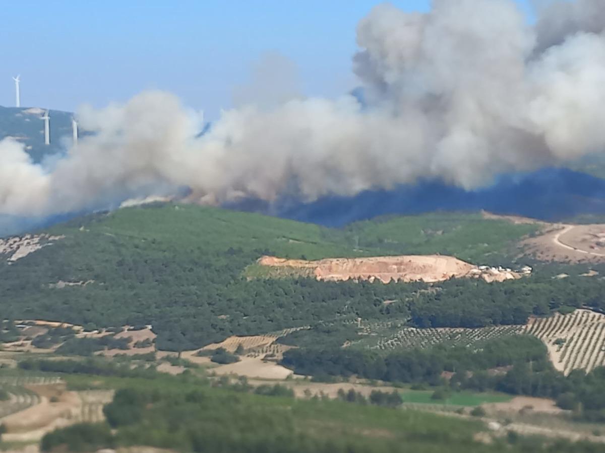 Manisa Soma'da bir orman yangını daha &ccedil;ıktı