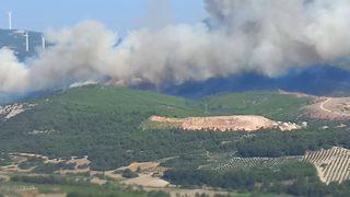 Manisa Soma'da bir orman yangını daha çıktı